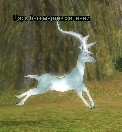 DMG16k8x.jpg.f5fe5440204cf51132670a0e3df1bd2a.jpg