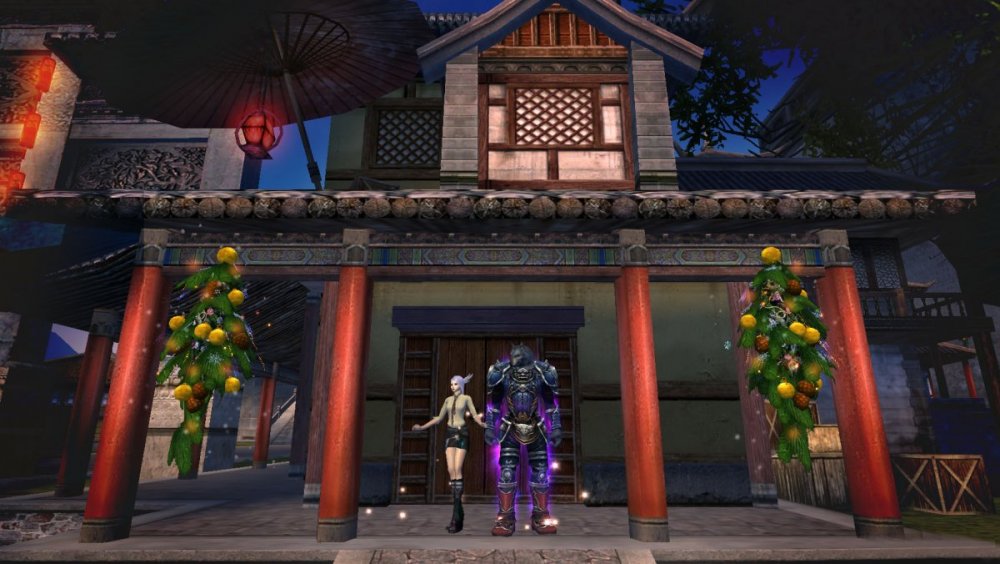 китайский новогод.jpg