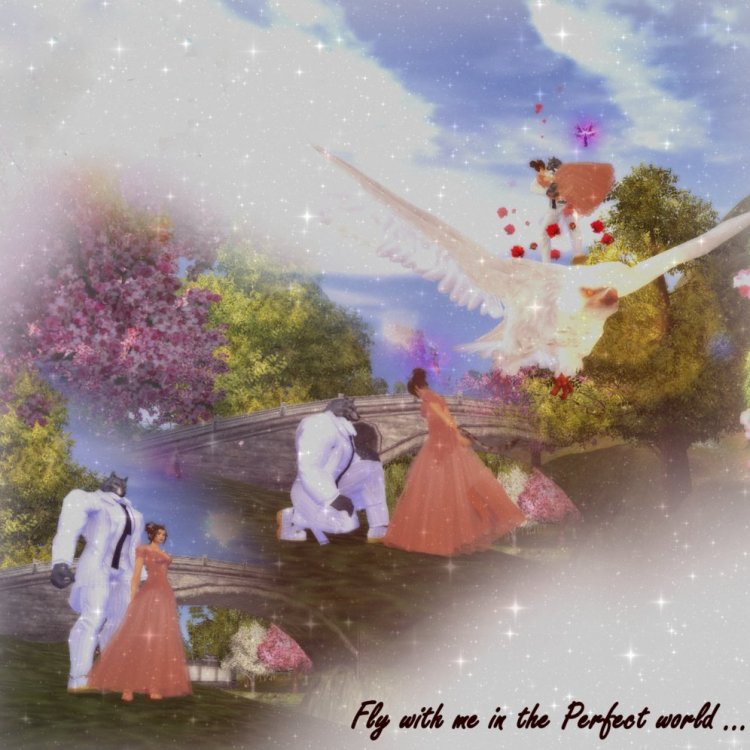Fly with me.jpg