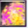 image.png.0d47e7195544ae7a5aa61eaabf145f08.png