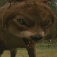 istevill